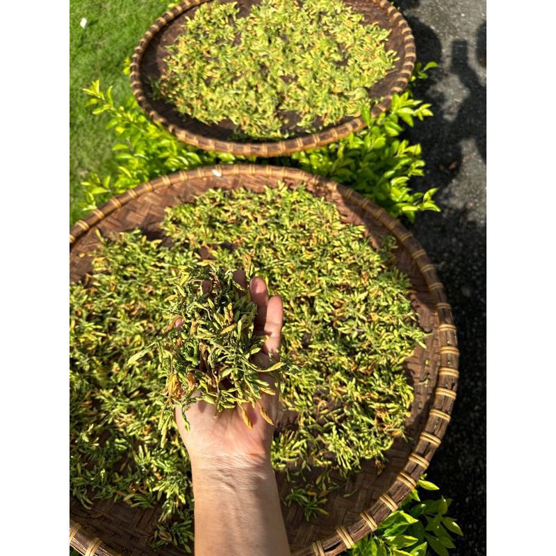 Hoa Đu Đủ Đực Sấy Lạnh Đã Xao Siêuu Thơmm ( Tây Bắc 99)