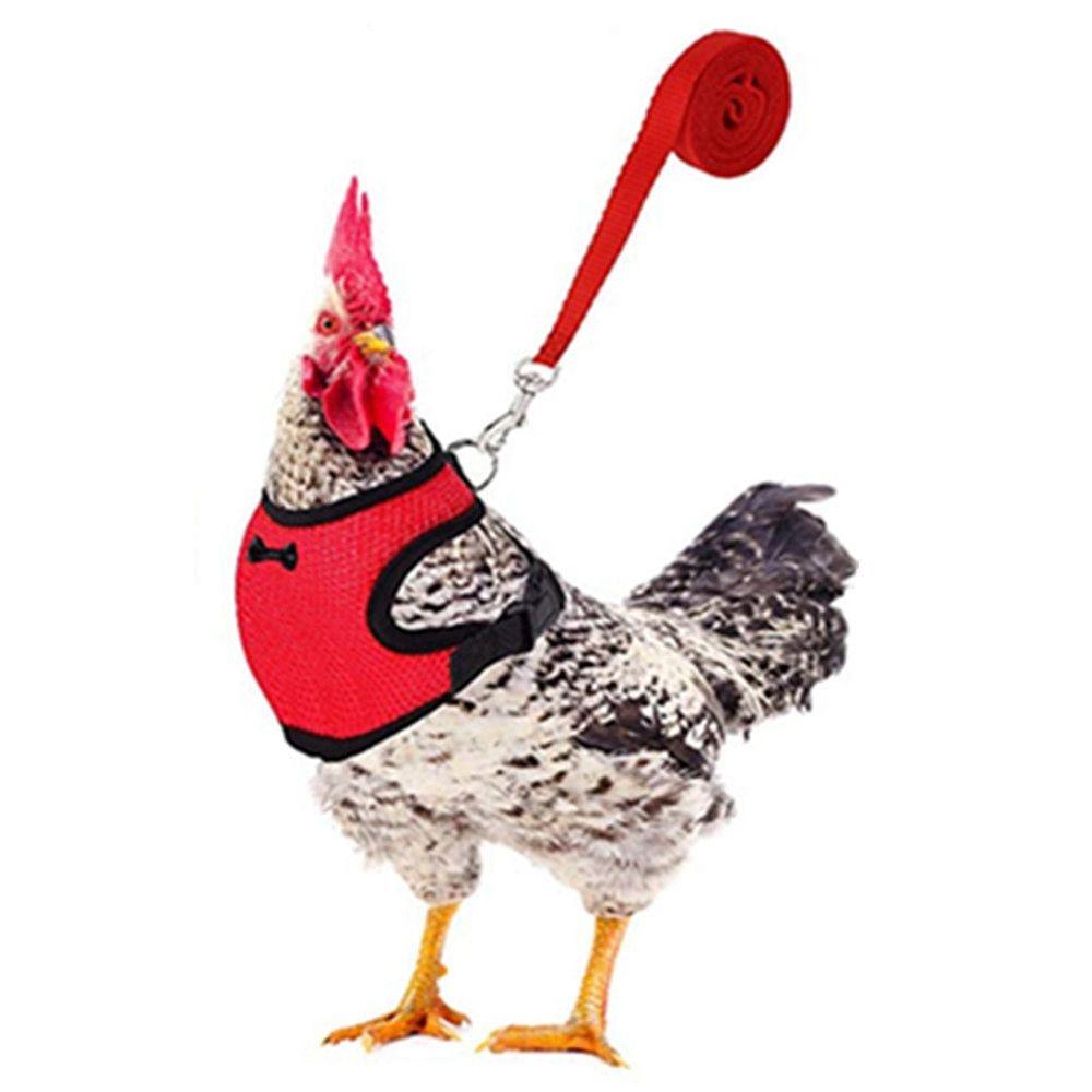 CARING PETS Comfortable Soft Bow Matching Collars Poultry Supplies Adjustable Hen Belt Chicken Vest Chick Leads Pet Harness Leash