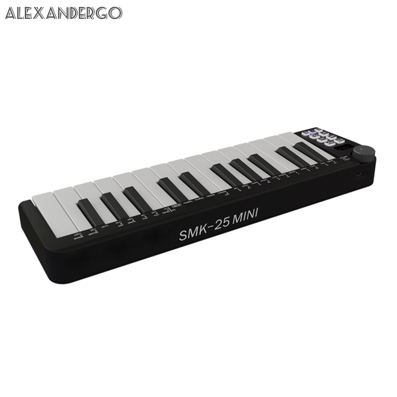 PRO 25 Key USB MIDI Keyboard Controller Mini Portable Keyboard MIDI Controller With Smart Chord Scale Modes Arpeggiator for Music Production