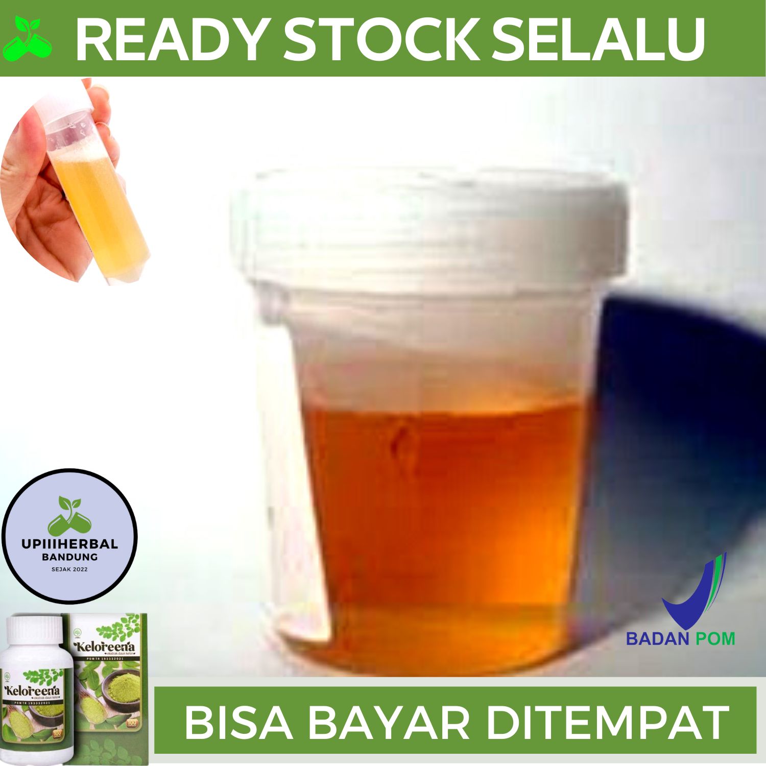 Obat Urine Berbusa, Obat Untuk Urine Berbusa, Obat Ginjal Bocor, Obat ...