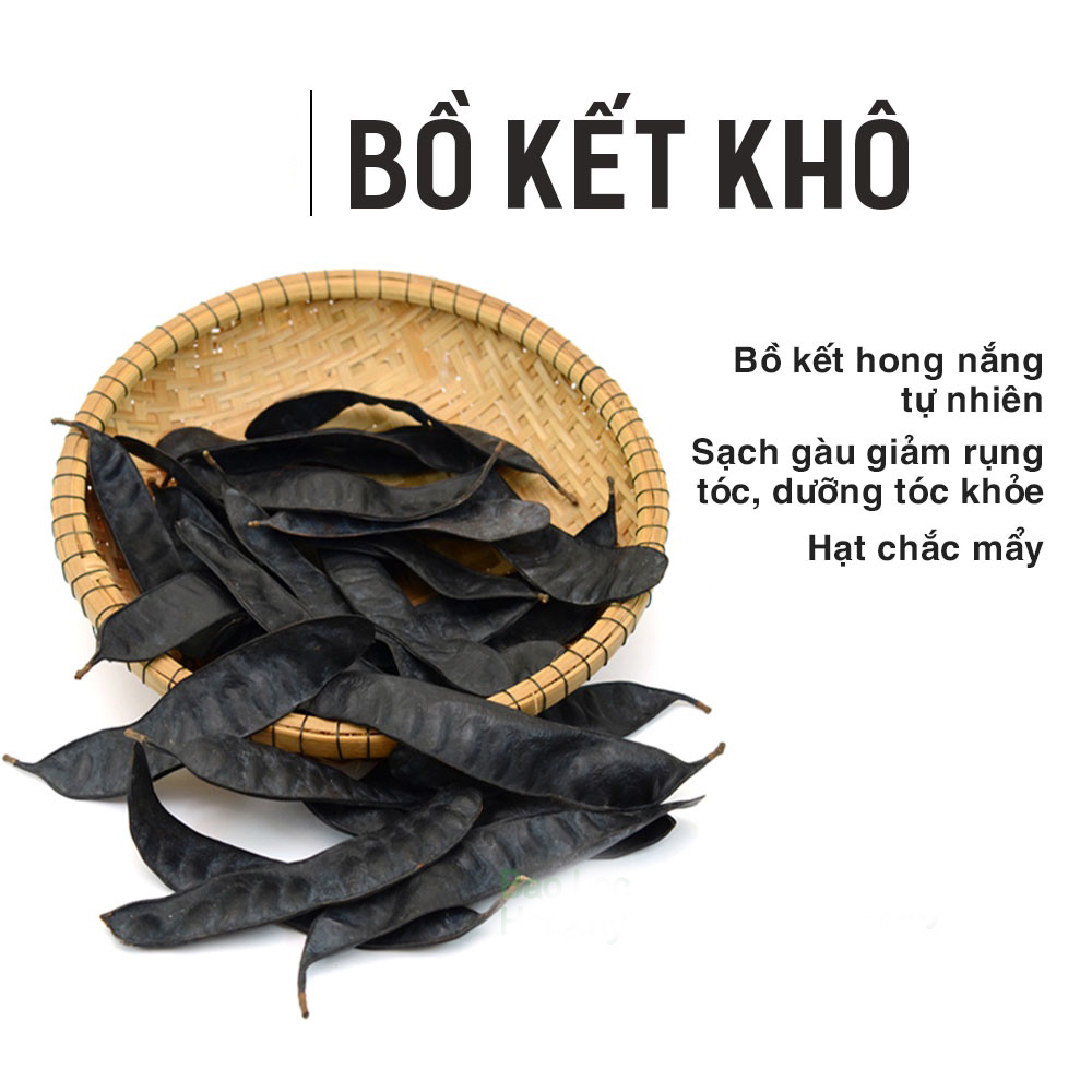 Trái bồ kết khô túi 500gram - Tấn Phát - Hàng công ty chất lượng cao