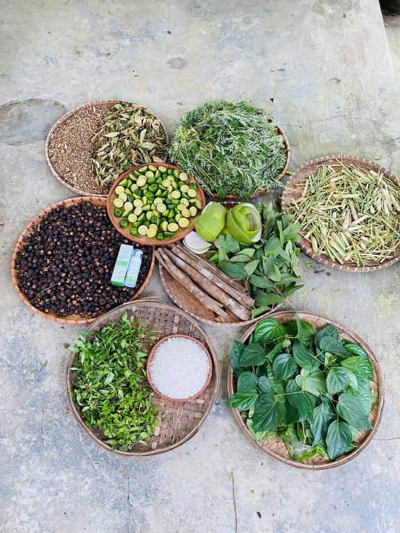 DUNG DỊCH VỆ SINH THẢO DƯỢC SÓC CON