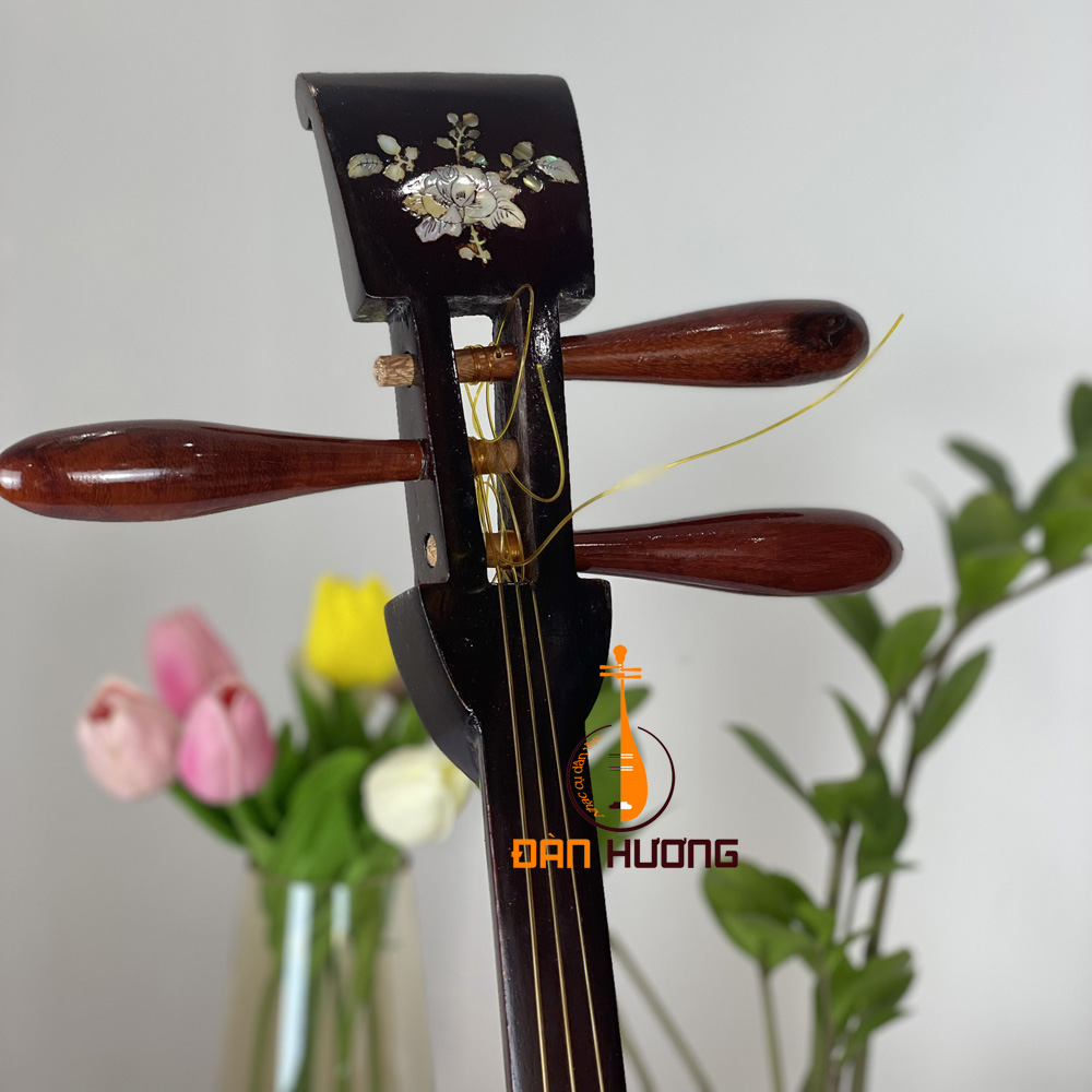 Đàn tam cỡ đại