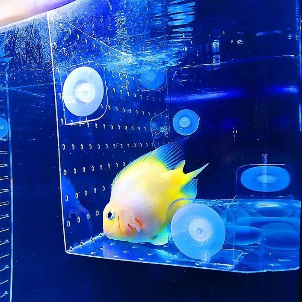 Aquarium Separation Tool Acrylic Fish Isolation Plate Bendable ...