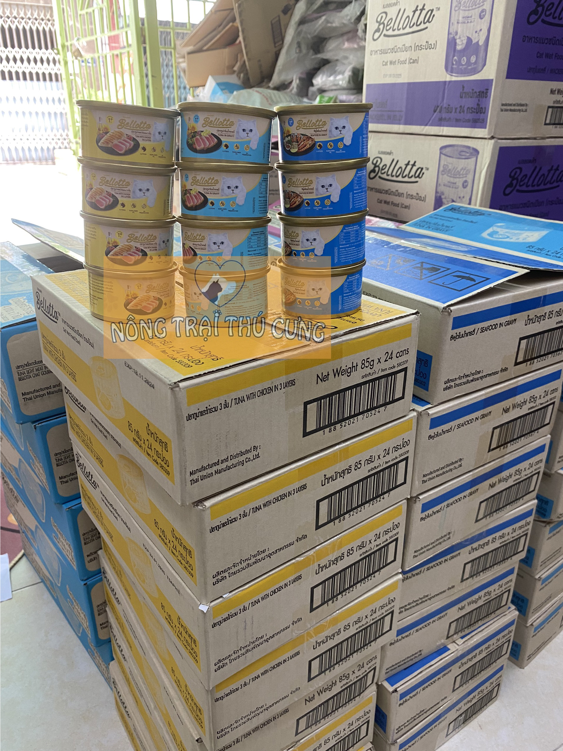 Pate Cho Mèo Bellotta Lon 85g (Thái Lan) - [Nông Trại Thú Cưng]