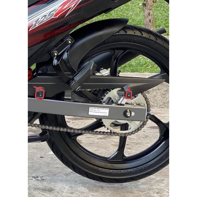 ỐC CACTE YAZ GIẢ ZIN (CẶP 2 CON)