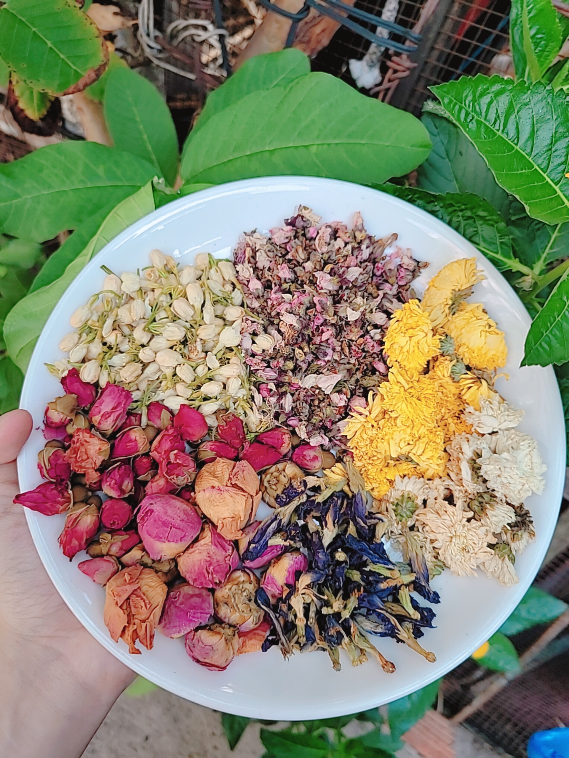 combo trà hoa bát bửu 15 gói
