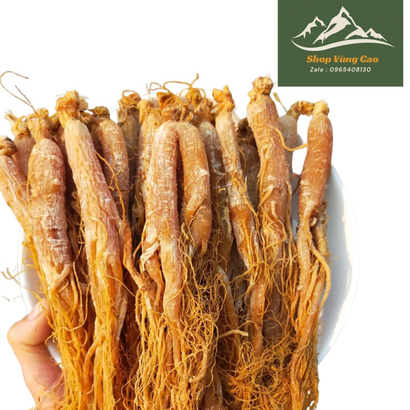 [CHÍNH HÃNG] HỒNG SÂM SẤY DẺO ( Thơm Chuẩm )