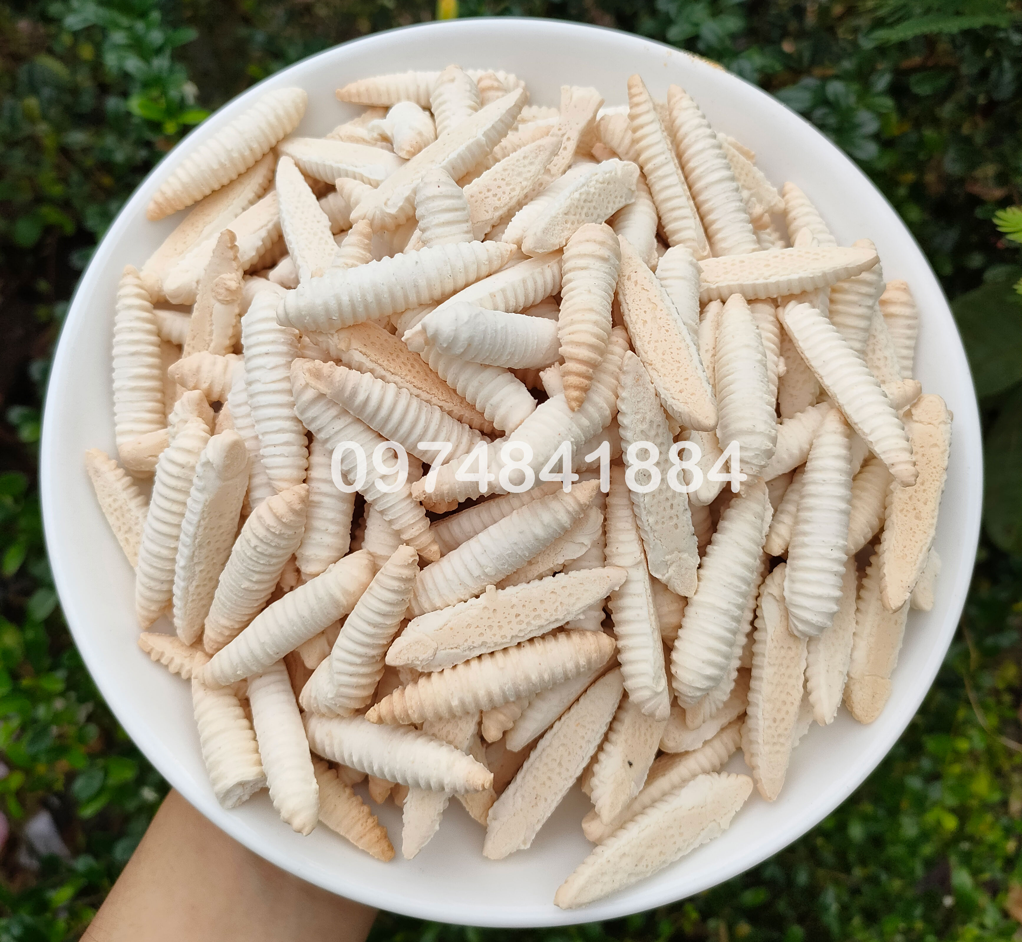 Bánh men đuông/ men sùng/ men sâu 1kg/ 500g/250g - bánh kẹo đồ ăn vặt