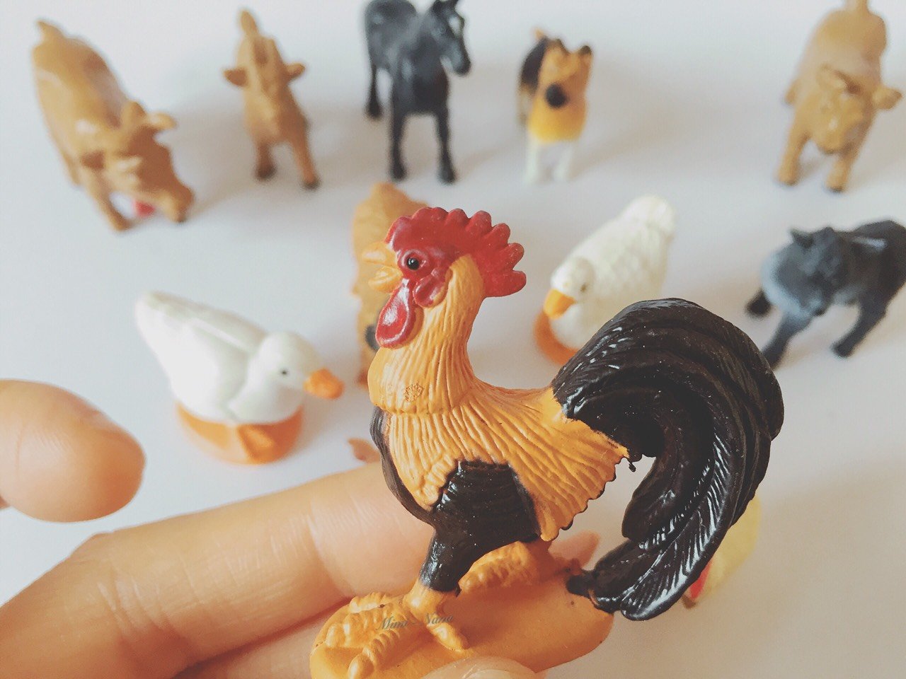 Mô hình động vật nông trại