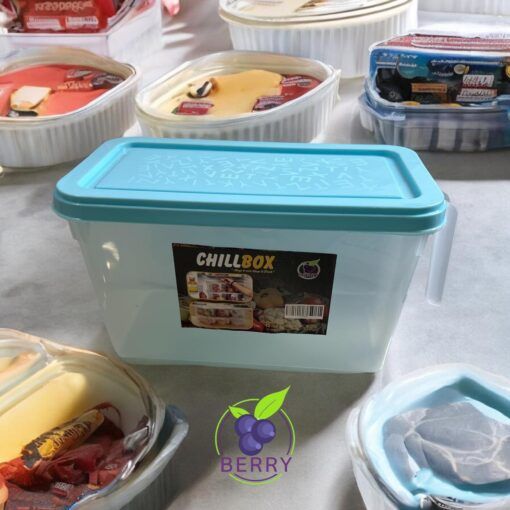 Chill Box Fridge Storage Chill Box With lid And Handle | Daraz.pk