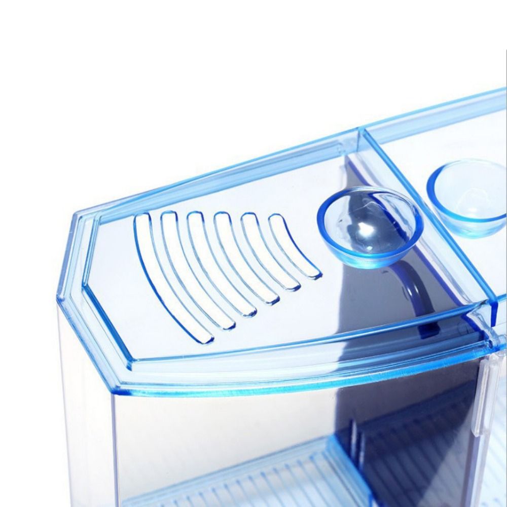 Fish House Transparent Betta Fish Single/Double Grid Plastic Double ...