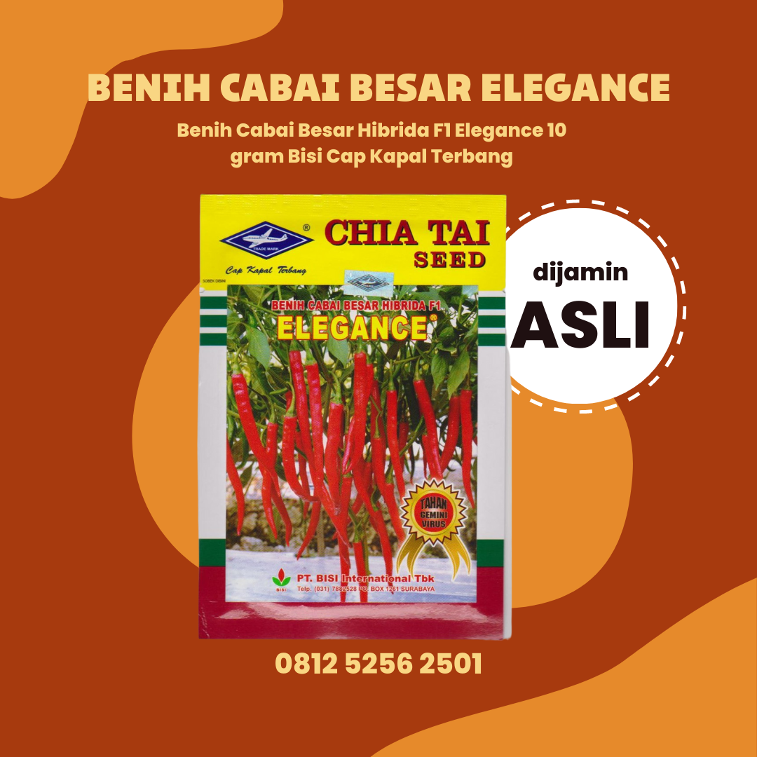 Benih Cabai Besar Hibrida F1 Elegance 10 Gram Bisi Cap Kapal Terbang ...