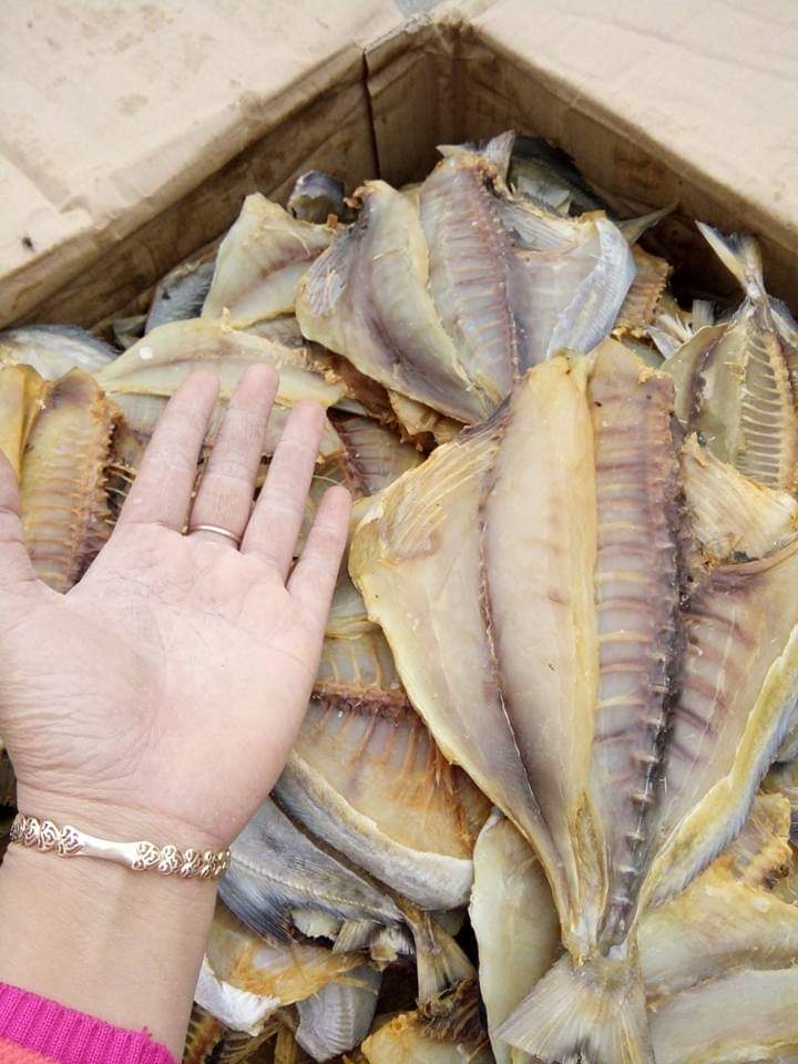 1KG CÁ CHIM BIỂN THỊT THƠM NGON
