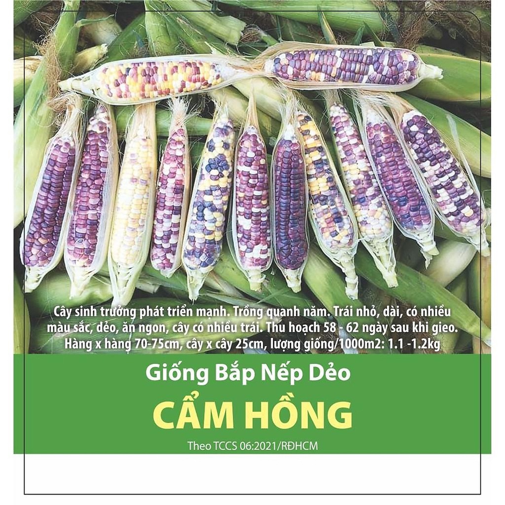 Hạt Giống Bắp Nếp Dẻo Cẩm Hồng 5gr