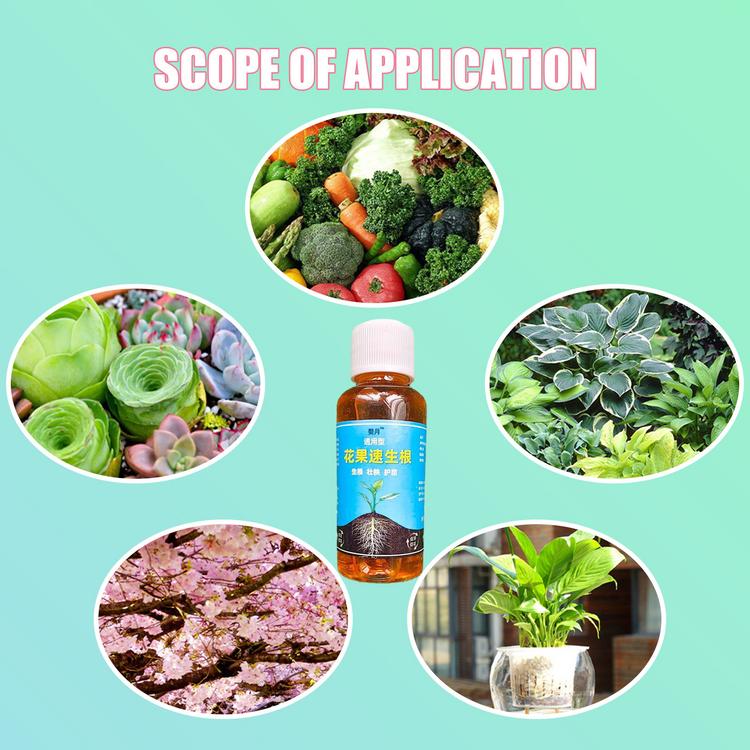 Root Enhancer for Plants Fertilizer Solution for Plant Growth Liquid Root Stimulator Root Booster for Plant Flower Transplanting Root Growth Enhancer 1.7 Fl Oz everywhere