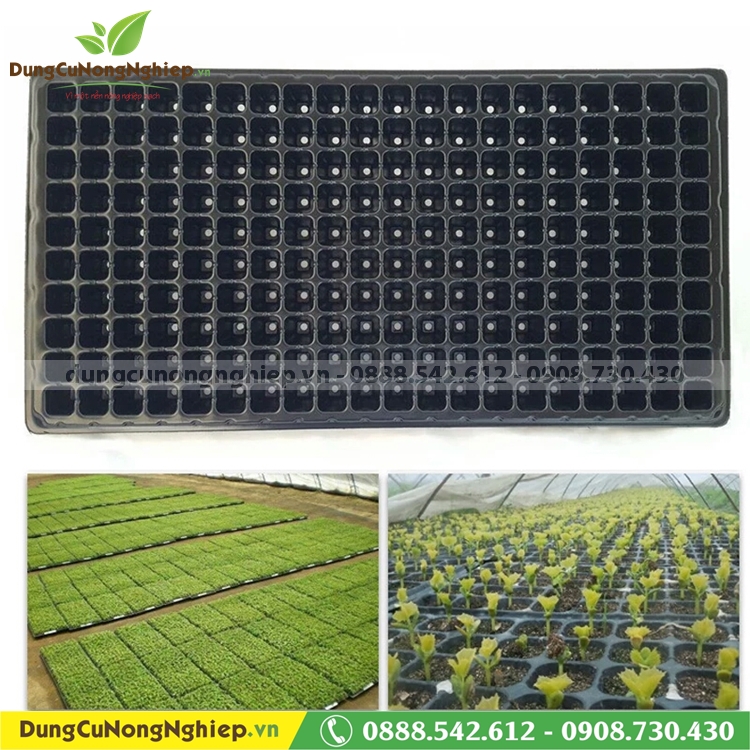 Bộ 5 khay ươm hạt giống 200 lỗ loại 2