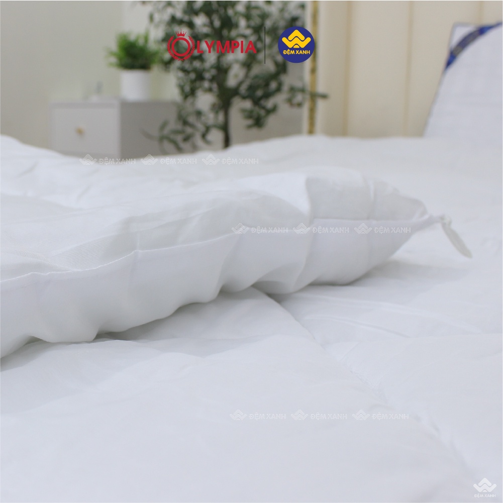 Ruột chăn đông Olympia Lucas siêu nhẹ