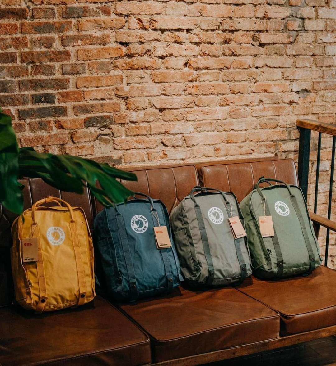 Balo Fjallraven Tree Kanken