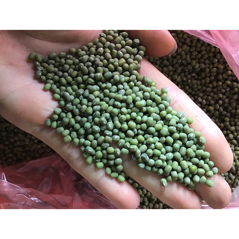 Tác dụng của hạt đỗ xanh