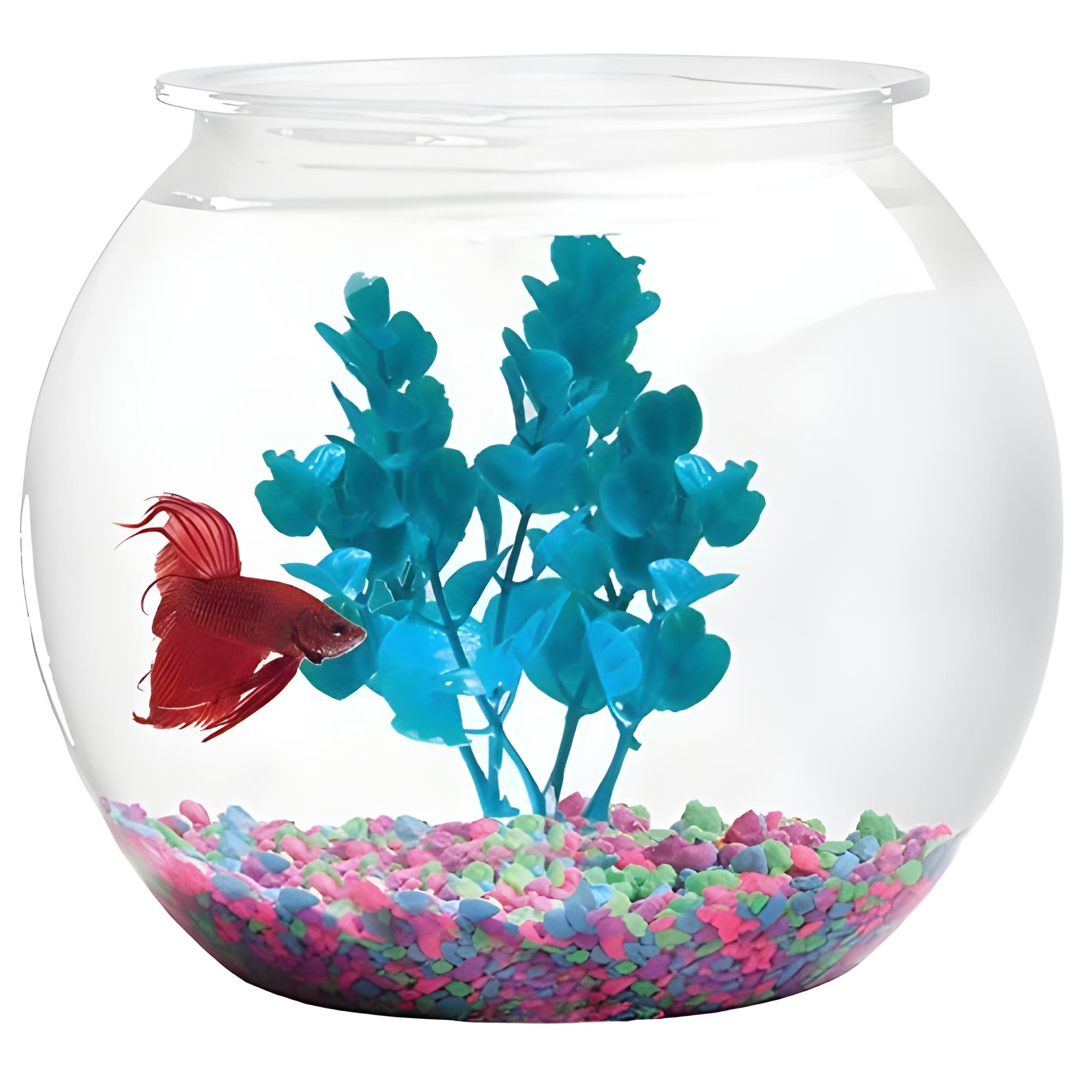 Glass Fish Bowl With Colorful Stones & Tree Aquarium, Fishbowl, Cat Fishbow, Cat Fishbow, Round Fish Bowl, Glass Fish Bowl, Clear Acrylic, Explosion-proof Fish Bowl, House Plant Container, Polycarbonate Pot, Underwater, Large Made in Bangladesh.