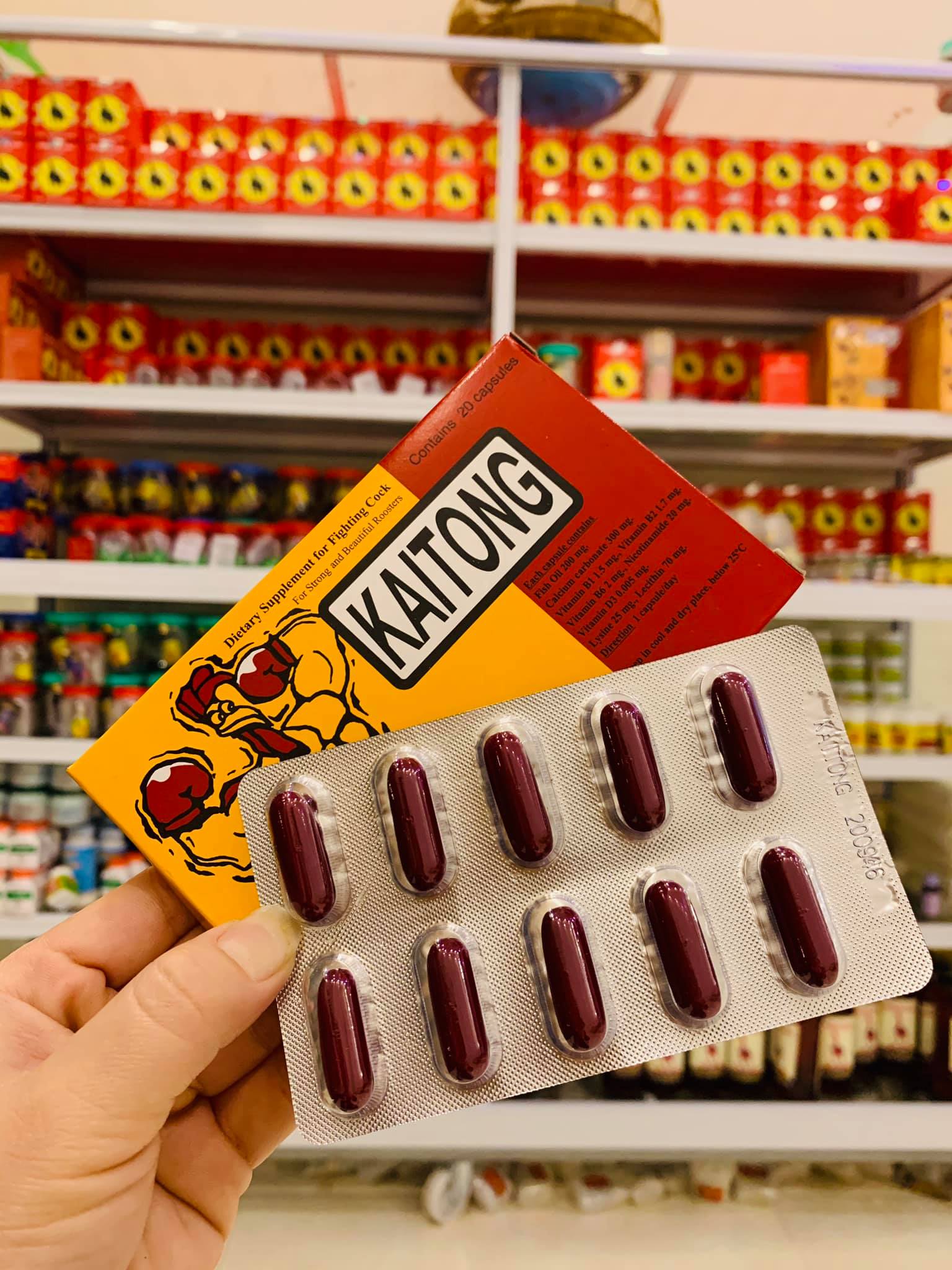 Kích Lực trước đá Kaitong