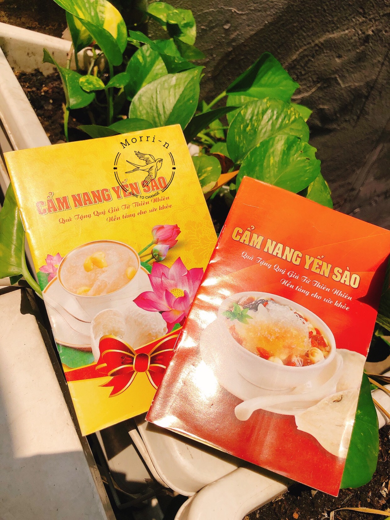 CUỐN CẨM NANG YẾN SÀO CAO CẤP BẢN ĐẸP