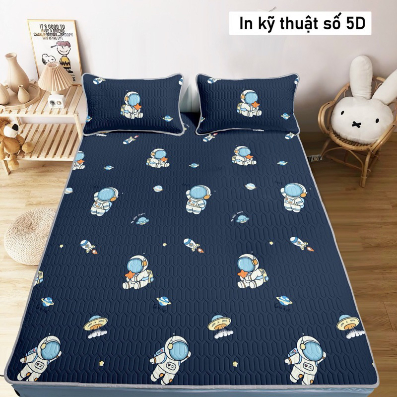 [TẶNG 2 VỎ GỐI] CHIẾU ĐIỀU HÒA TENCEL LATEX CAO SU NON [1m2; 1m4; 1m5]