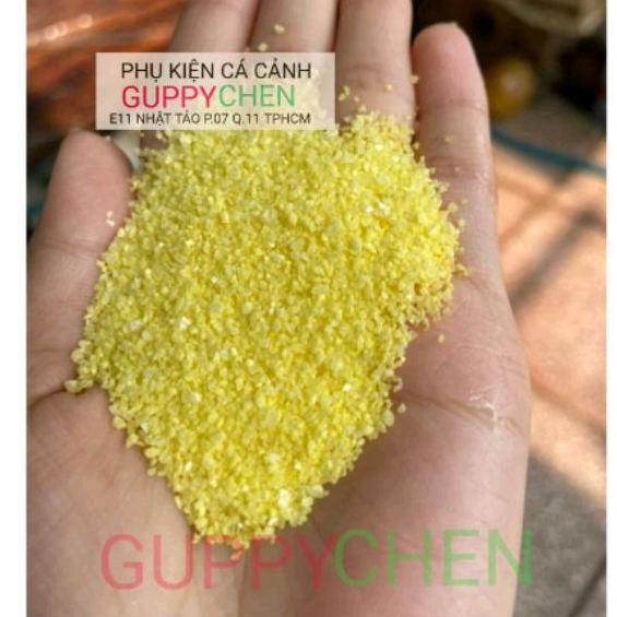 Cát màu - cát thạch anh vàng trang trí bể cá tiểu cảnh