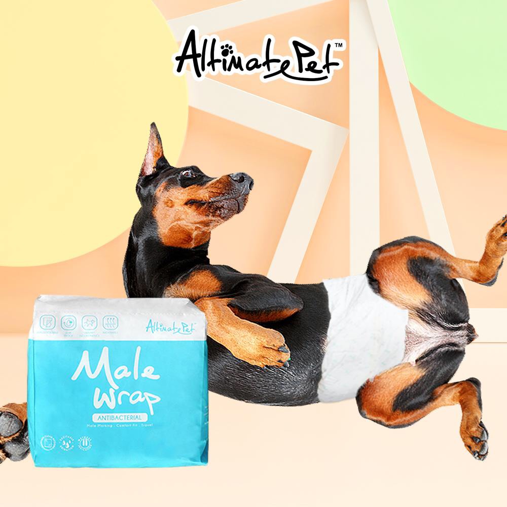 Bỉm mặc, tã quần cho chó đực hiệu Altimate Pet
