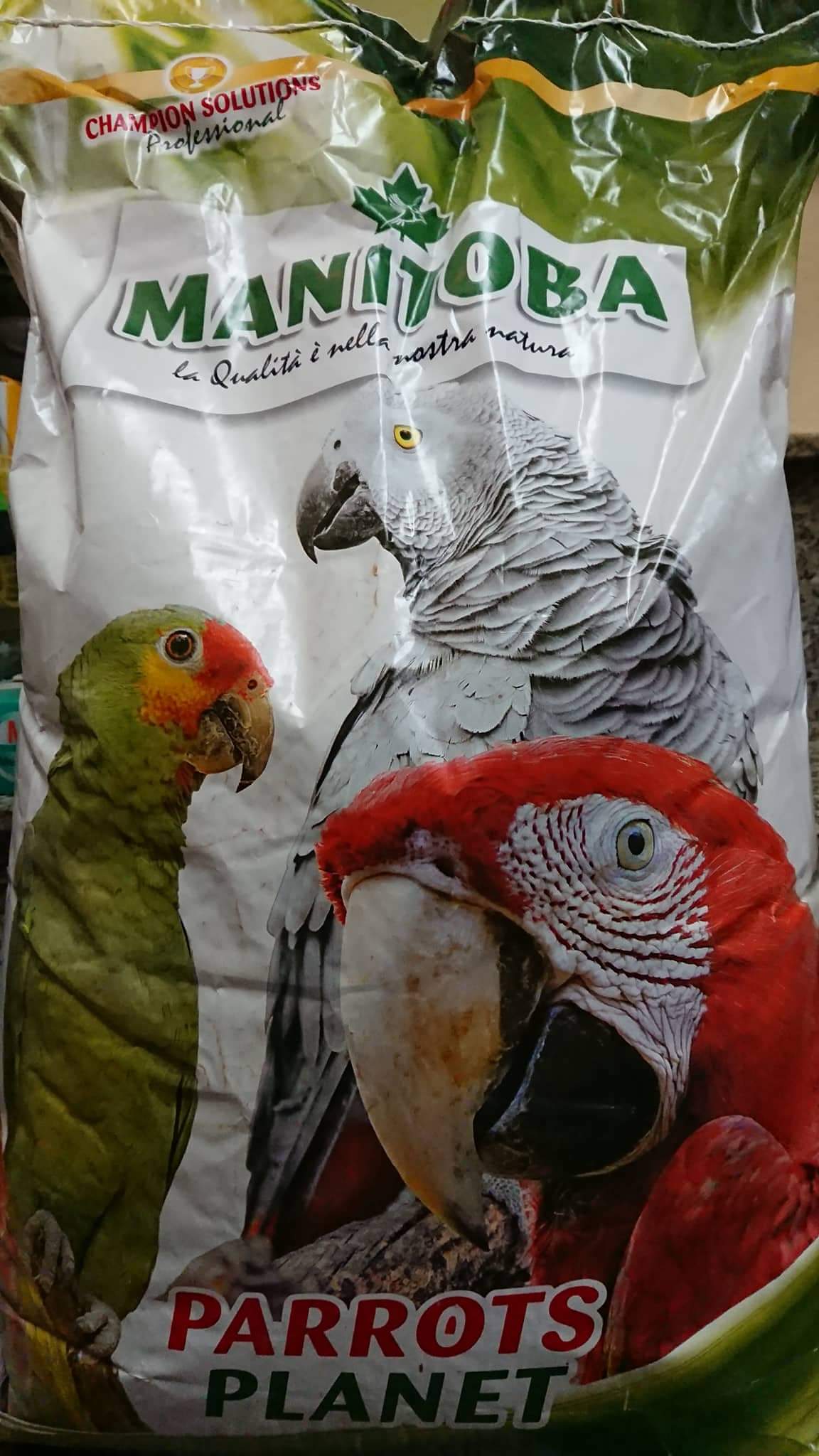 Hạt trộn parrots planet cho các dòng vẹt trung và lớn