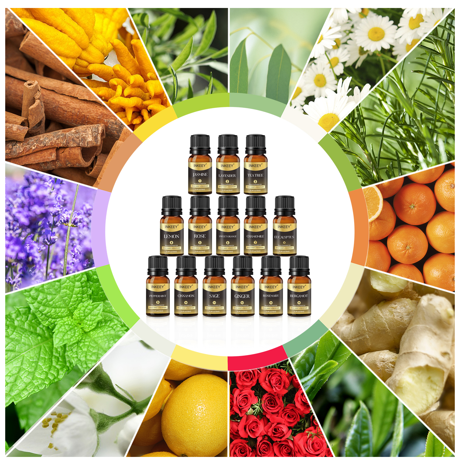 12%20Kinds%20Essential%20Oils%20Set%20100%25%20Pure%20Diffuser%20Oils%20Lavender%20Tea%20Tree%20Lemon%20Rose%20Sweet%20Orange%20Chamomile%20Eucalyptus%20Peppermint%20-%20Image%206