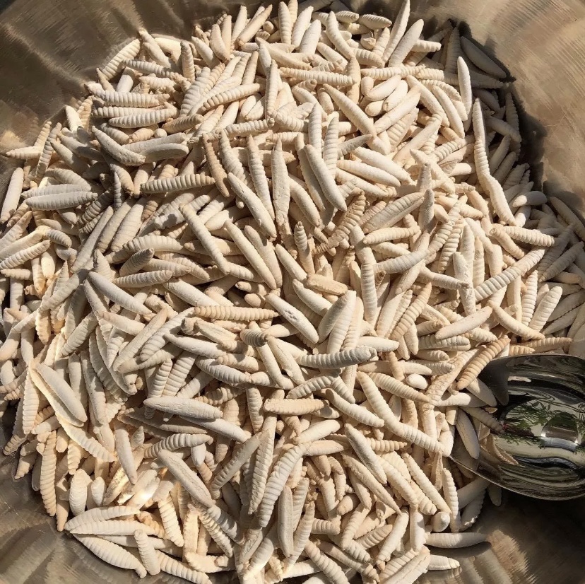 Bánh đuông dừa ( sùn sữa) loại ngon 500g
