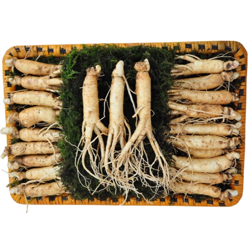 [CHÍNH HÃNG] HỒNG SÂM SẤY DẺO ( Thơm Chuẩm )