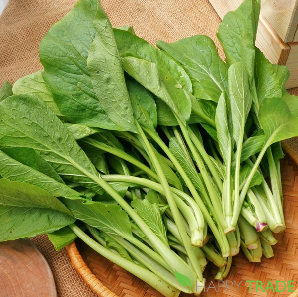 Hạt giống cải ngọt - gói 20 gram