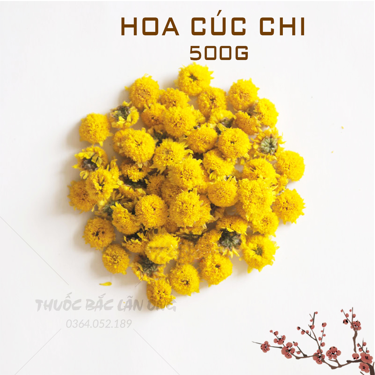 Hoa cúc chi sấy khô 500g (Trà hoa cúc vàng nụ nhỏ thanh lọc cơ thể)