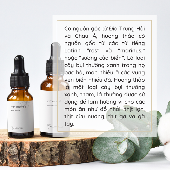 Tinh Dầu Xông Phòng Hương Thảo Rosemary Nguyên Chất Thiên Nhiên, Thơm Phòng, Massage thư giãn Chai 10ml