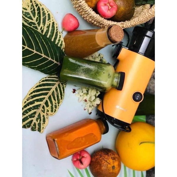 Máy Ép Chậm Mini, Máy Ép Chậm Trái Cây Chính Hãng