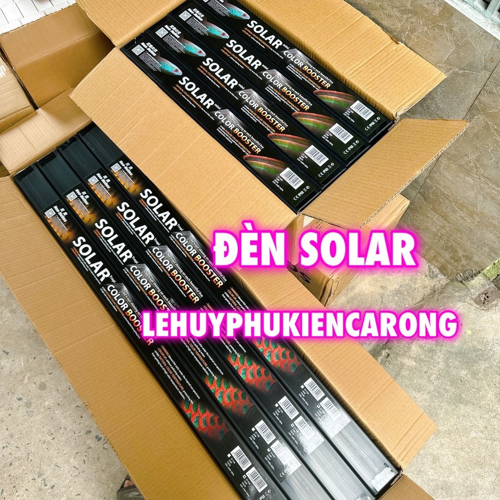 Đèn solar rgb 6700k cho cá rồng cá lóc - led tanning cho cá rồng