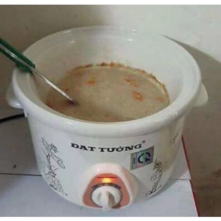 Nồi kho cá hầm cháo chậm đa năng Đạt Tường 1.5L - 2.5L