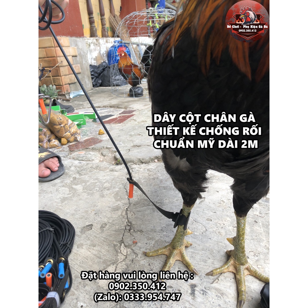 Dây Cột Chân Gà Chuẩn Mỹ Thiết Kế Chống Rối