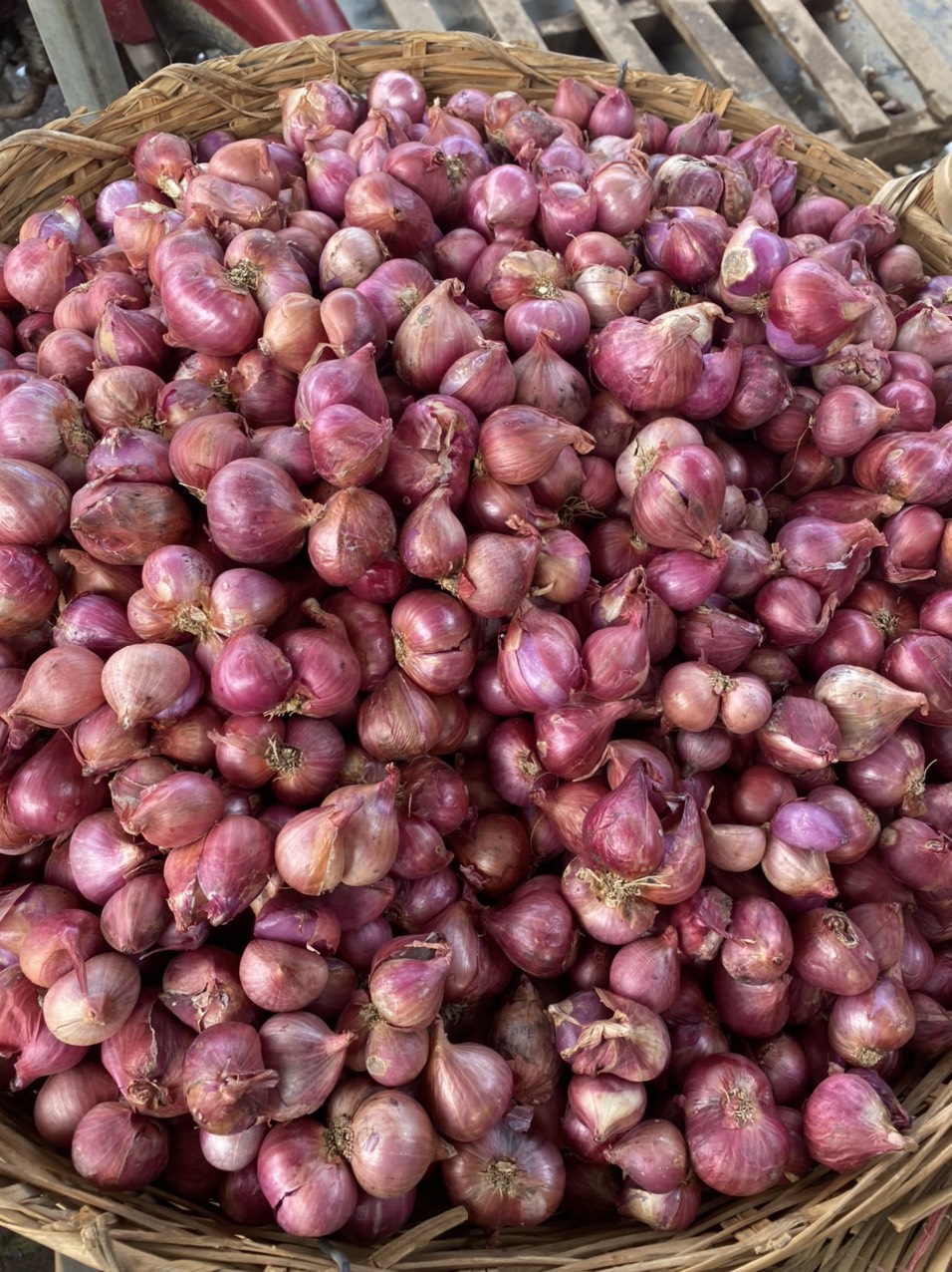 (miễn phí vận chuyển)Hành tím Khô , củ to chắc đều