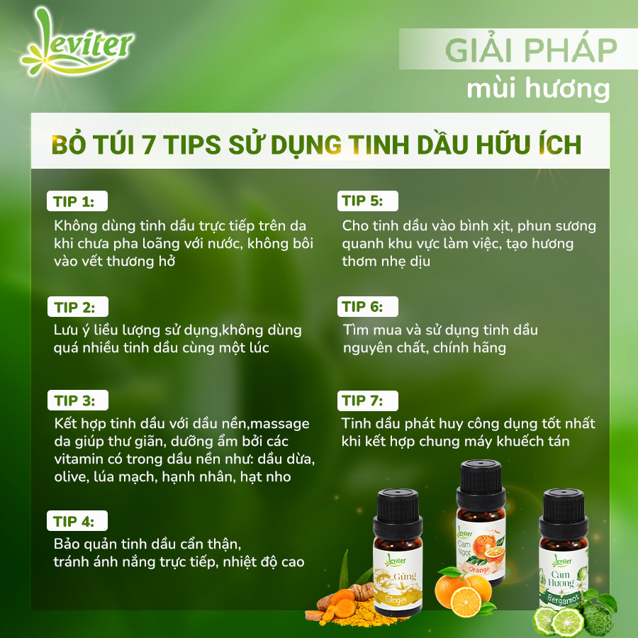 Tinh Dầu Leviter Gỗ Ngọc Am 100ml nhẹ nhàng