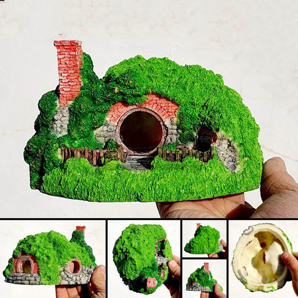 Tiểu cảnh nhà cây trang trí hồ cá, bể cá, chậu cây, tiểu cảnh terrarium