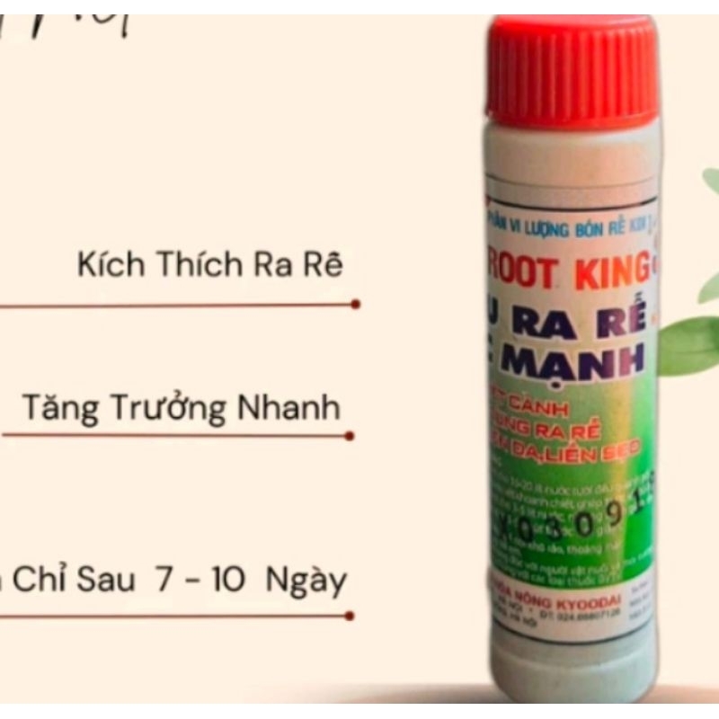KÍCH RA RỄ ROOT KING SIÊU NHANH