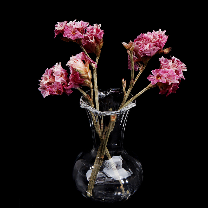 Livecitys 1 Sac Coloré Quartz Sable Miniature Réservoir Aquarium Bonsaï Pot Fée Jardin Décor-Mini Figurines pour Jardin Plantes Succulentes Bonsaï Rose