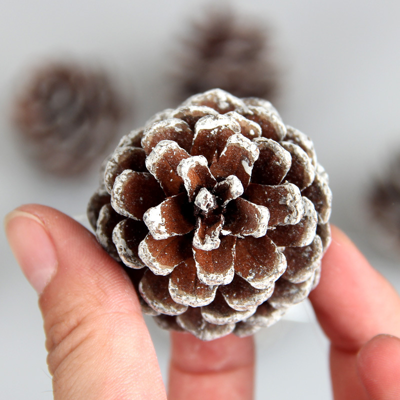 Pine Cones With String Christmas Ornaments Hanging Decorations For Christmas Tree String Christmas Pine Cone Ornaments Crafts