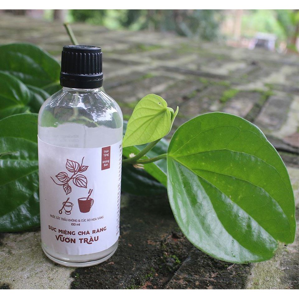 NƯỚC SÚC MIỆNG - CHÀ RĂNG VƯỜN TRẦU (1.3L & 100ml) -VietHerb