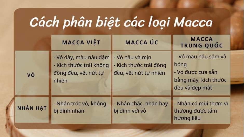 Macca Đak Lak Sấy Loại 1 (500Gr)