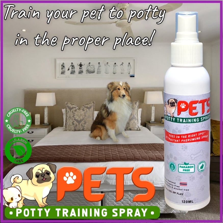 How To Train Dog To Use Toilet